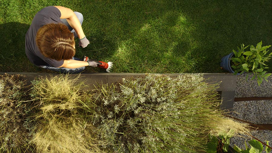 cisaille gazon sans fil 0630 SKIL cisaille gazon sans fil 0630 SKIL